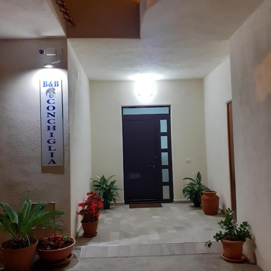 La Conchiglia Bed And Breakfast San Nicola Arcella Dış mekan fotoğraf