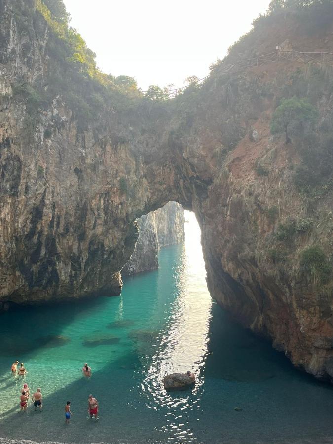 La Conchiglia Bed And Breakfast San Nicola Arcella Dış mekan fotoğraf